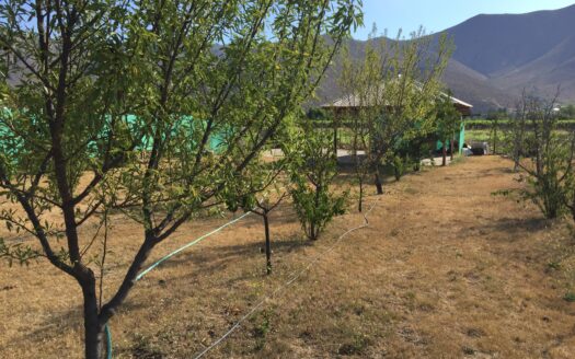 SE VENDE SITIO CON CASA EN SANTA ROSA, SALAMANCA