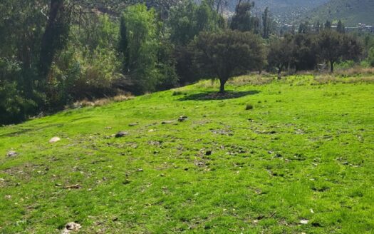 SE VENDE INMUEBLE DE 1 HECTÁREA CON 2 CASAS Y DERECHO DE AGUAS EN HUANQUE, SALAMANCA