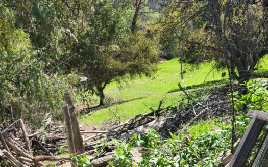SE VENDE INMUEBLE DE 1 HECTÁREA CON 2 CASAS Y DERECHO DE AGUAS EN HUANQUE, SALAMANCA